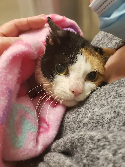 Alpha Veterinary Care Picture 3