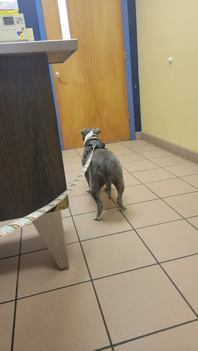 Alpha Veterinary Care Picture 2