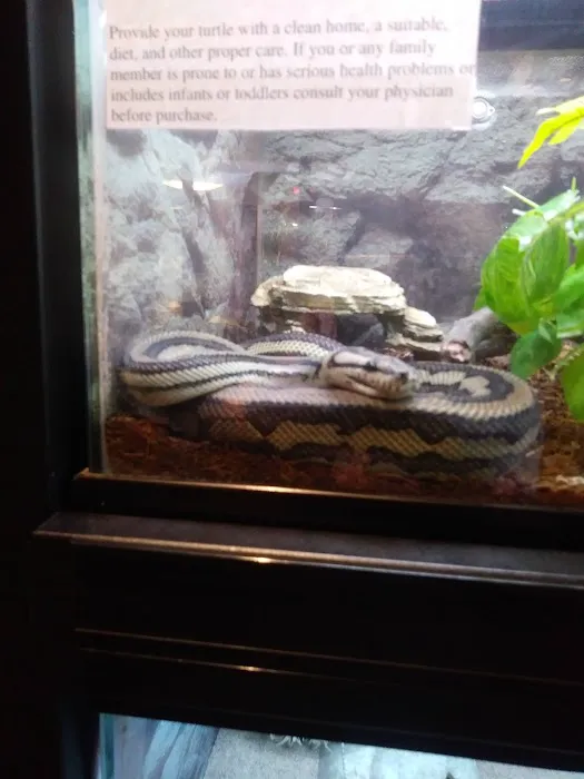 ALL PETS CLUB Picture 10