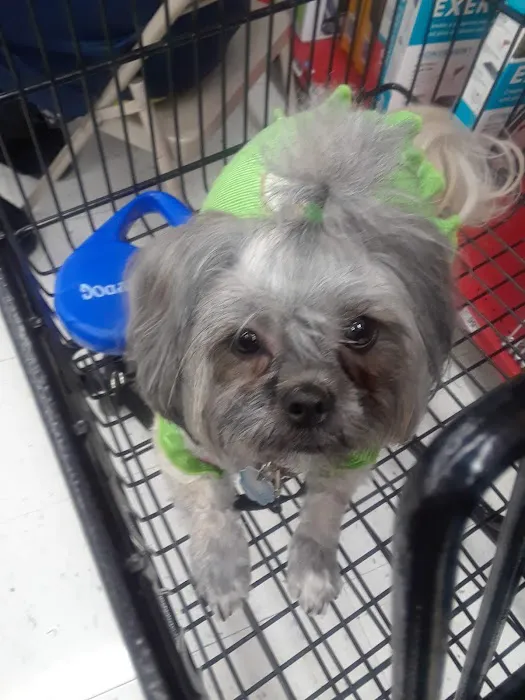Petco Picture 6