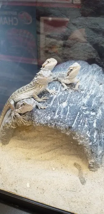 Petco Picture 5