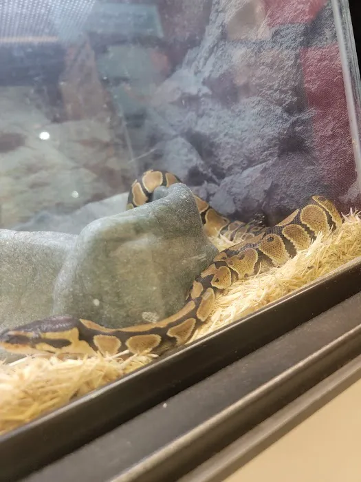 Petco Picture 2