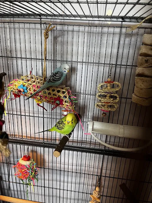 Petco Picture 8
