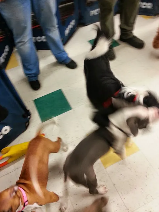 Petco Picture 10