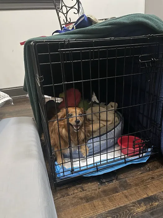 William Penn Veterinary Hospital Picture 10