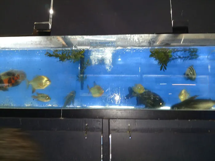 Blakes Aqua Den LLC Picture 2