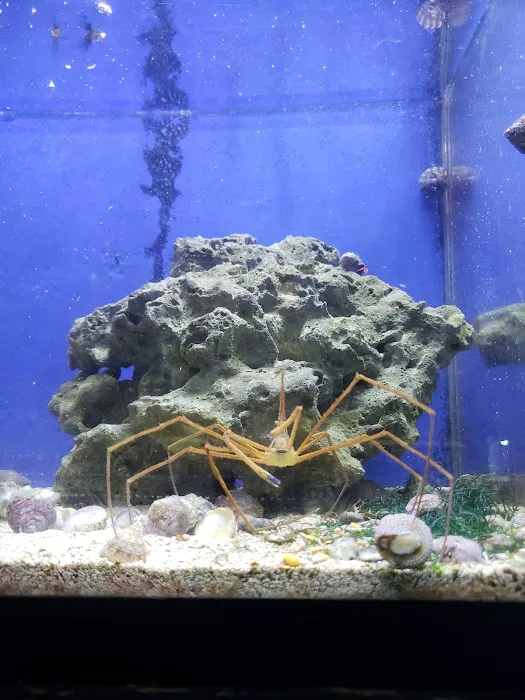 Blakes Aqua Den LLC Picture 3