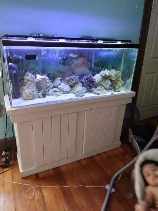 Blakes Aqua Den LLC Picture 4