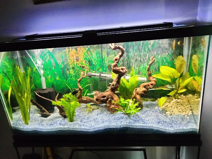 Blakes Aqua Den LLC Picture 5