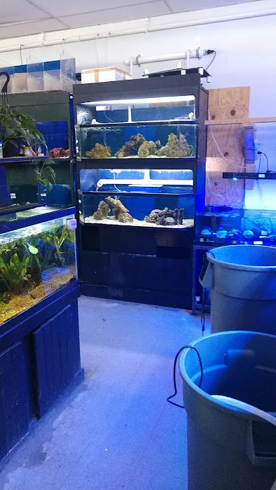 Blakes Aqua Den LLC Picture 9