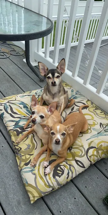 Cummings Veterinary Hospital Picture 1