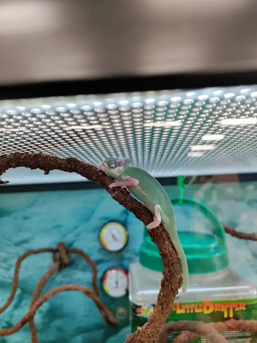 Petco Picture 2