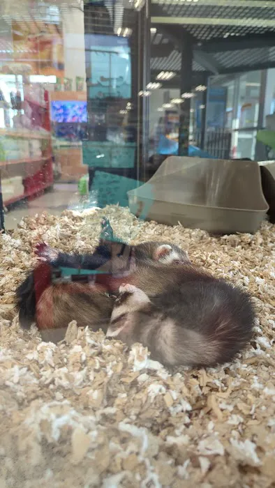 Petco Picture 6