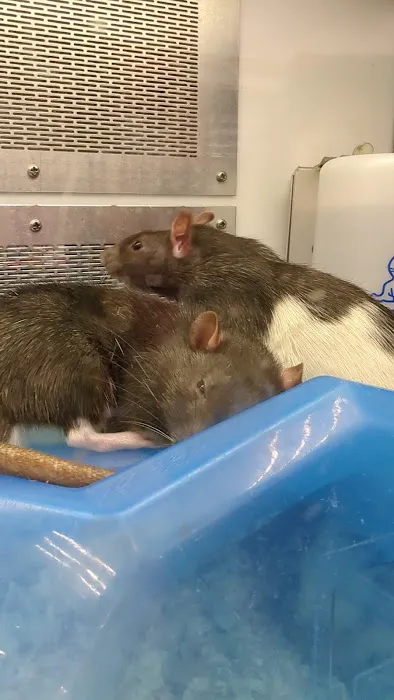 Petco Picture 5