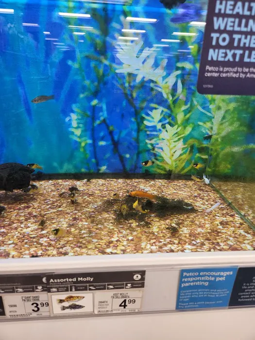 Petco Picture 9