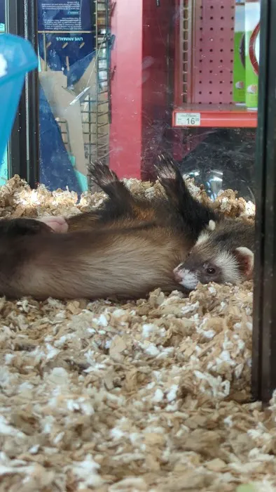 Petco Picture 10