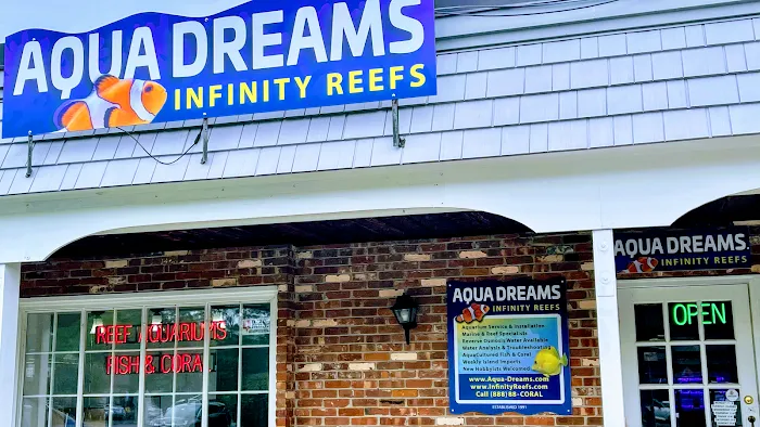Aqua Dreams ~ Infinity Reefs Picture 2