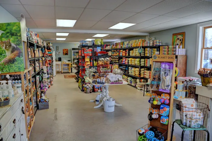 Dogology Canton- Adoption Shop Picture 1