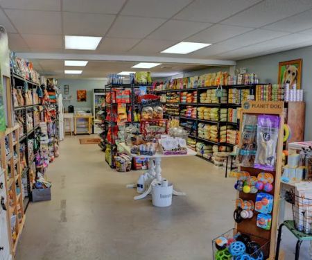 Dogology Canton- Adoption Shop