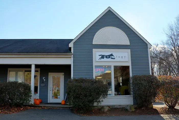 Dogology Canton- Adoption Shop Picture 3