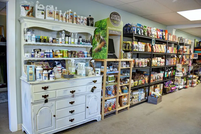 Dogology Canton- Adoption Shop Picture 6