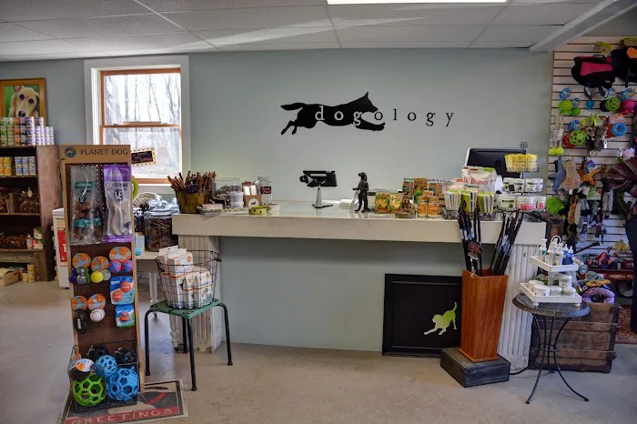 Dogology Canton- Adoption Shop Picture 9