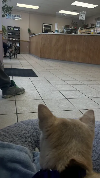 North Saucon Animal Hospital Picture 4