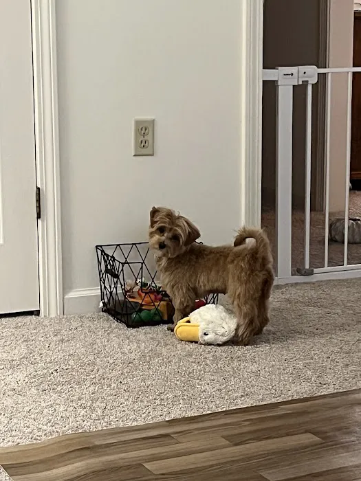Petco Picture 2