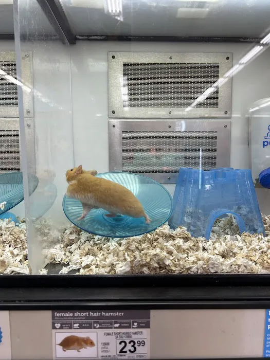 Petco Picture 4