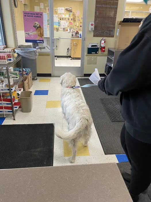 Petco Picture 6
