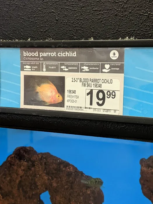 Petco Picture 7