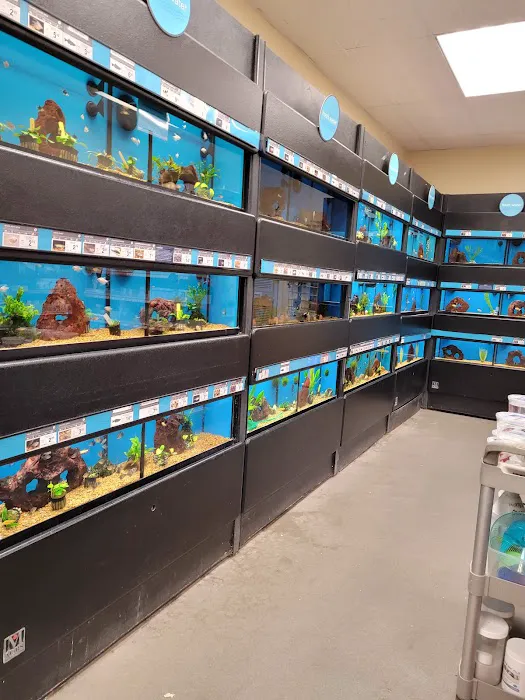 Petco Picture 9