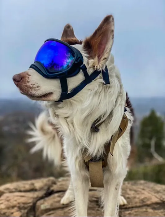 Canis Mountain Outfitters Picture 3