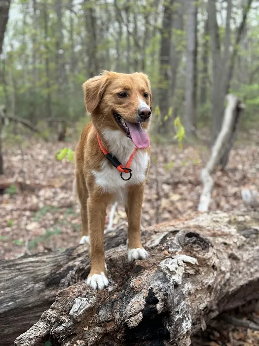 Canis Mountain Outfitters Picture 2