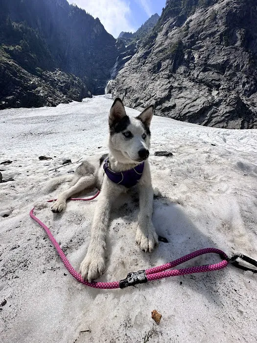 Canis Mountain Outfitters Picture 8