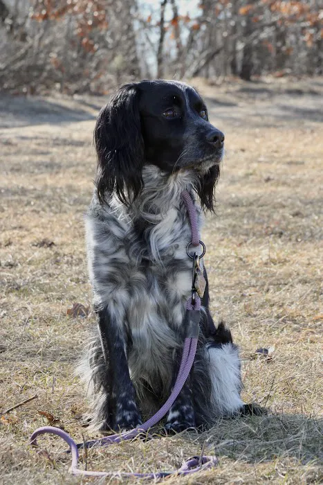 Canis Mountain Outfitters Picture 10