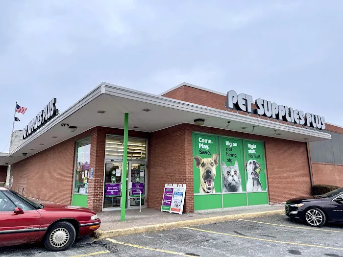 Pet Supplies Plus West Hartford Picture 6