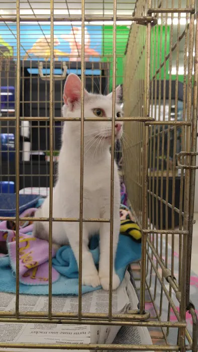 Pet Supplies Plus West Hartford Picture 7