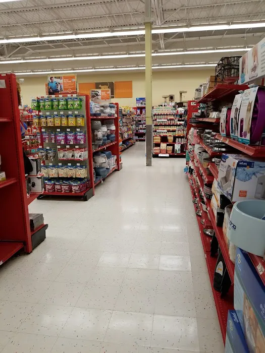 Petco Picture 4