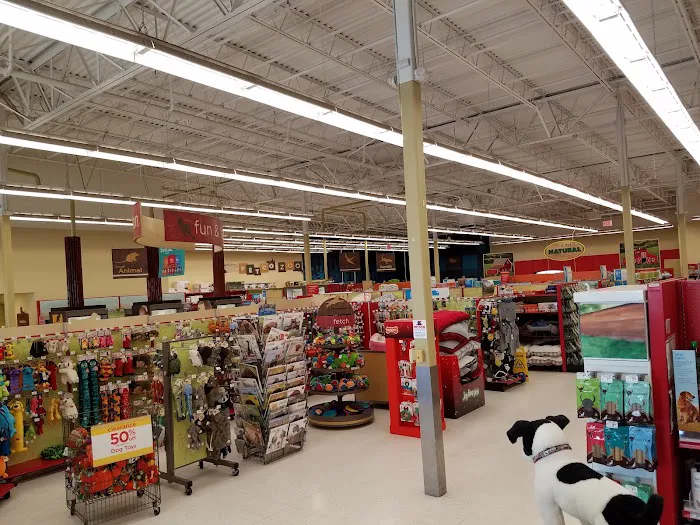 Petco Picture 1