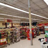 Petco ico