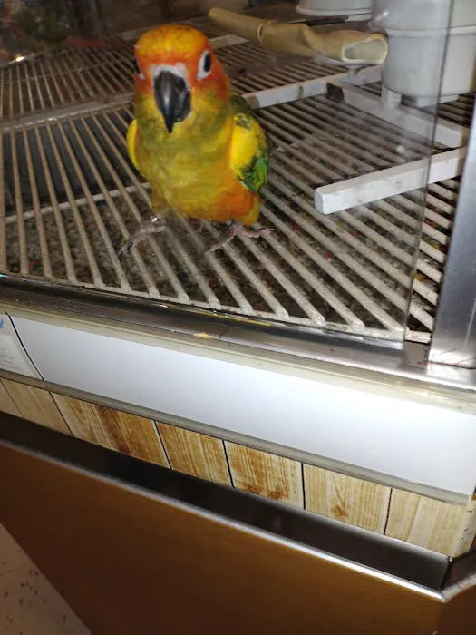 Petco Picture 7
