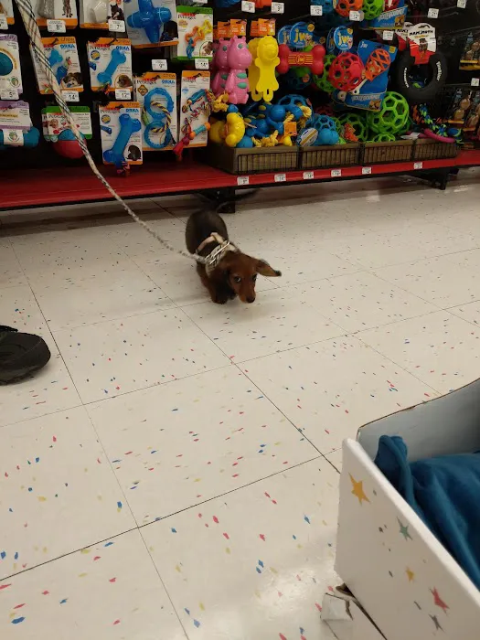 Petco Picture 8