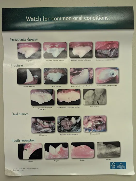 Warren Animal Hospital: Mahan Jennifer DVM Picture 1