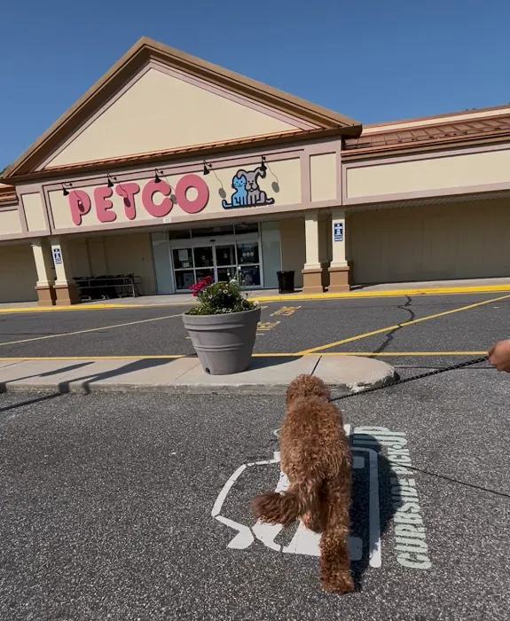 Petco Picture 2