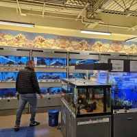 Petco ico