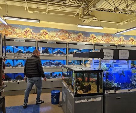 Petco