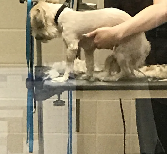 Petco Picture 3