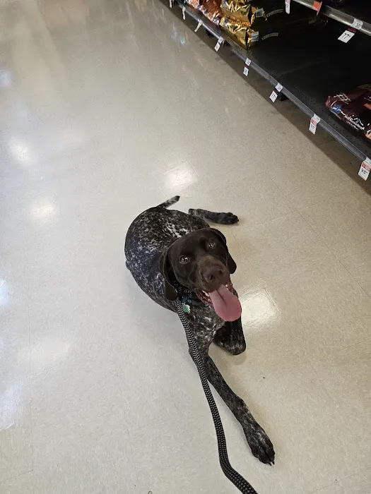 Petco Picture 4