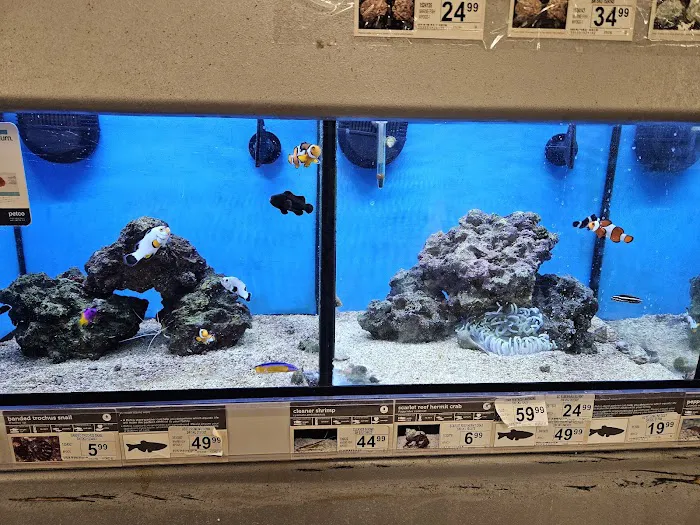 Petco Picture 6